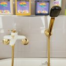 개아나유 이미지