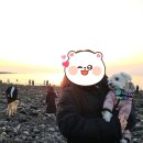 채우리네 이미지