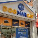 도그마캣 - 당진시 무수동6길 7-42 | 도그마캣