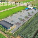 소백산 별빛감성 캠핑장 이미지