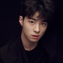 레포트컴퍼니 이미지