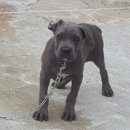 대복농장 이미지