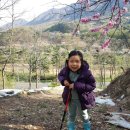 할매분식(언양) 이미지