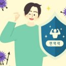 요가 C 이미지