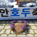 주무대 앞 이미지