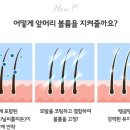 Just hair(저스트 헤어)