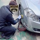 영진카서비스 이미지