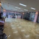 댕댕이연구소 이미지