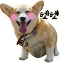 장터수육 이미지