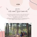 멍이맘&대디 이미지