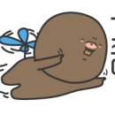 옻골손국수 이미지