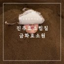 [진주효소찜질] 진주 금화효소원에서 체험한 효소찜질 후기