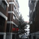 서구-01-52 Daum카페