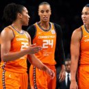 WNBA 오프시즌 FA Top10 (ESPN) 이미지