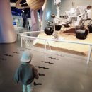 제주공룡랜드전시관 이미지