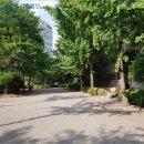 양천로(북측) 이미지