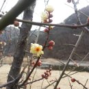 죽전1구 이미지