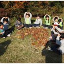 우포의 숲속 이미지