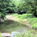 마곡사 주차장1 이미지