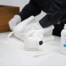 경북반려동물장례식장 이미지