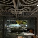 내추럴제니 | 제니도 다녀간 이태원 분위기 맛집 내돈내산 후기 (내추럴하이)