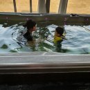 글램펜션(2) 이미지