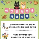 허벌라개 네이버블로그