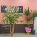 나우호텔 이미지