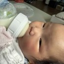 더블하트/닥터브라운 젖꼭지 사이즈업 후기