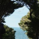 그레이스제주