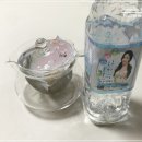 다미수