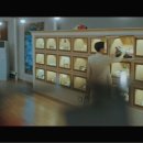 펫바라기