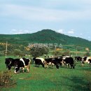 선봉농장 이미지