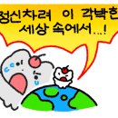 스피드메이트 이마트구미점 이미지