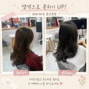 302에비뉴(용산 본점) | 대구 달서구 염색잘하는곳 302에비뉴 용산점