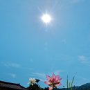 마음수련 이미지