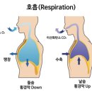 기타앤보컬실용음악학원