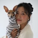 펫션화보 이미지