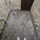 서성파라토피아 이미지