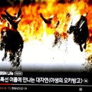 제작 방송사에 경의를...Respect Honorable Documentary by BBC...and KBS 이미지