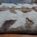 수선세탁 이미지