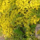 호수공원3로 이미지