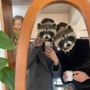 제주몹시 [<b>제주</b>감성카페] <b>제주</b><b>몹시</b> : <b>제주</b> 조용한 카페 찾는다면 바다뷰 힐링카페 감성카페