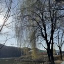 말은물빛공원2 이미지