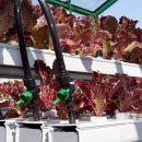 신사경로당 이미지