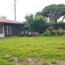 평대하루 이미지