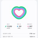 쓰리큐 브래드 | 20251224 시드니 근교 블루마운틴 별빛투어 + 한여름의 크리스마스 D-1