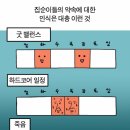 베스트오케이투어㈜ | 250524 키타니 타츠야 아시아 투어 2025 후기