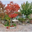 가평산넘어펜션 이미지