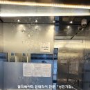 성진카 이미지
